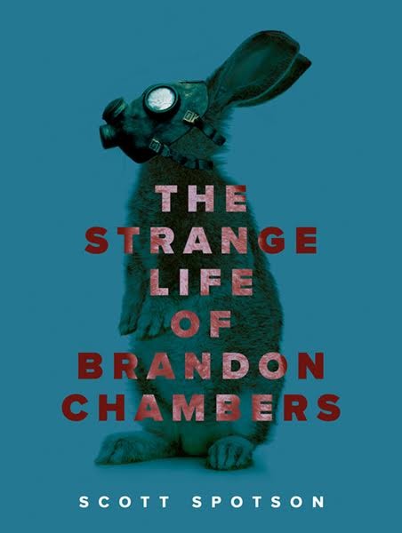 The Strange Life of Brandon Chambers book cover